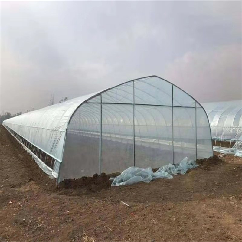 tunnel greenhouse