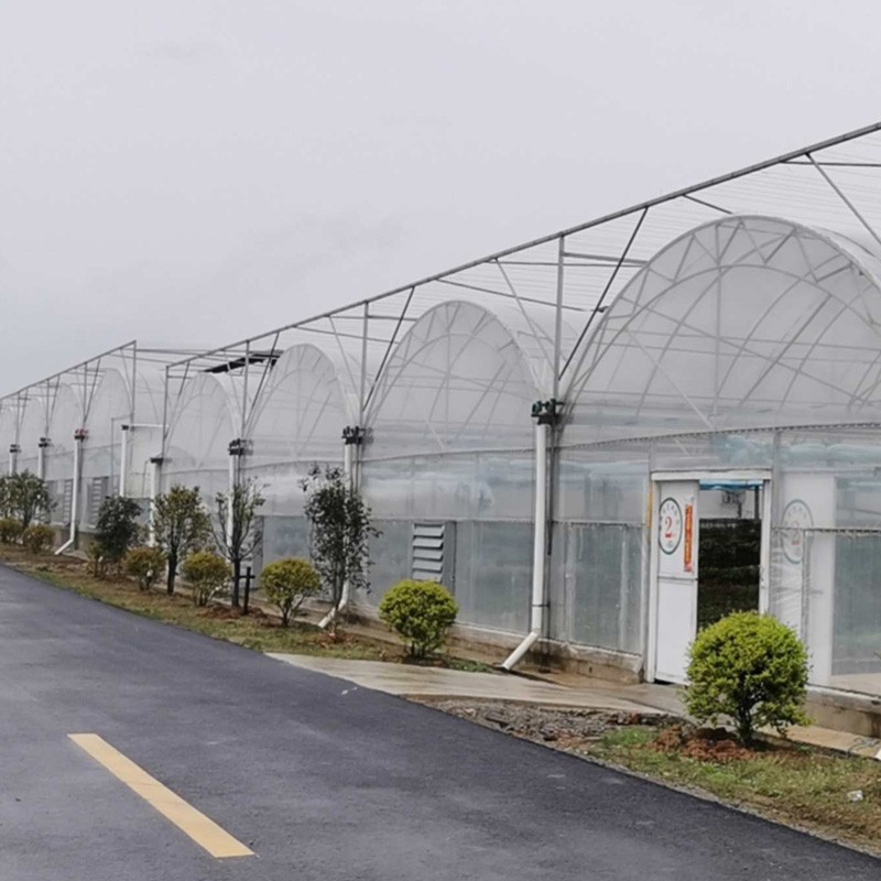 3 film greenhouse.jpg