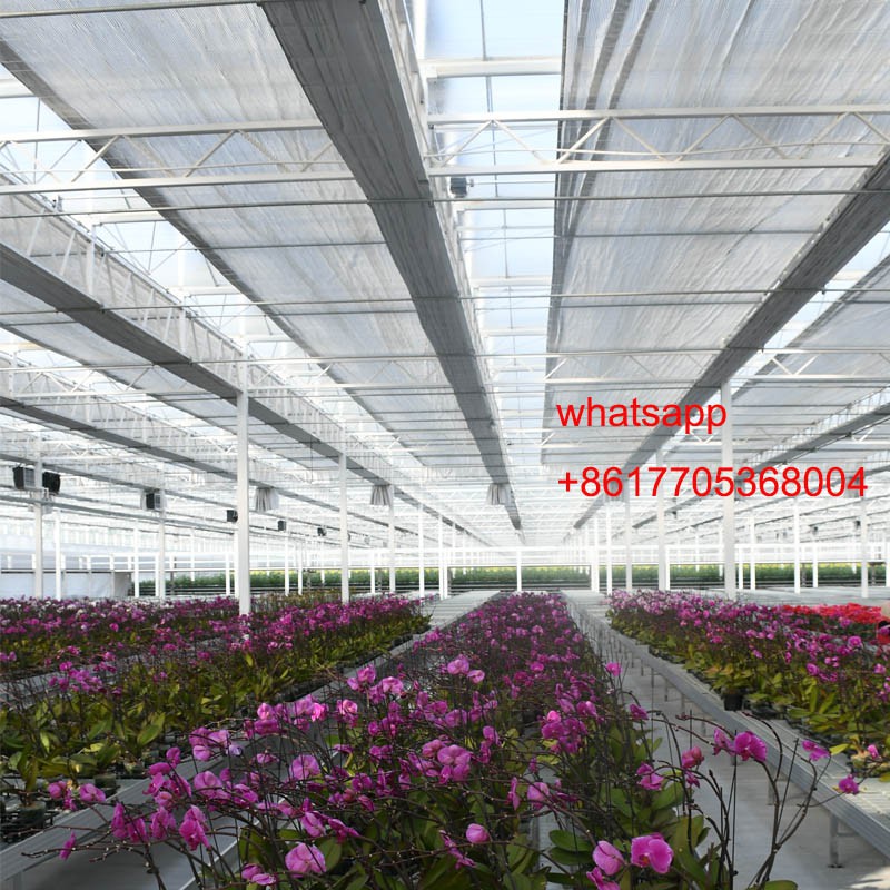 flower greenhouse