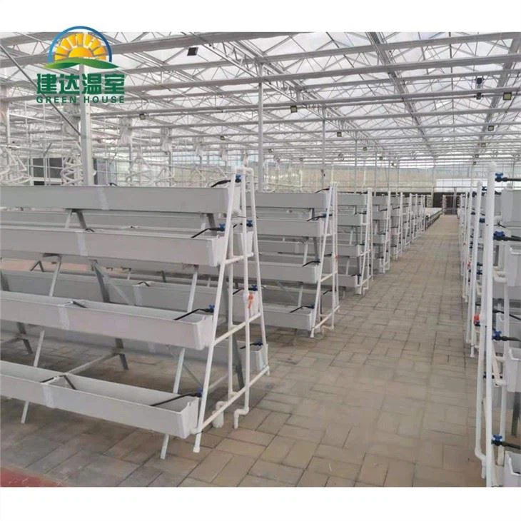 PVC Hydroponic Grown Groove Strawberry
