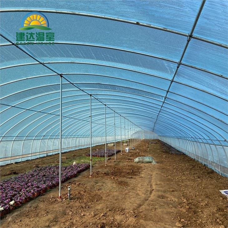 Single Tunnel Greenhouse