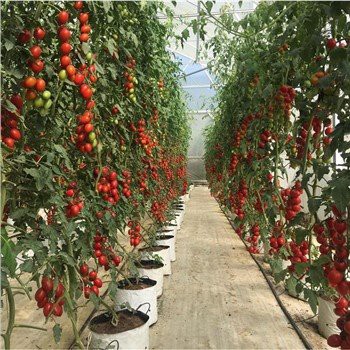 Barijera od pokrova staklenog tla