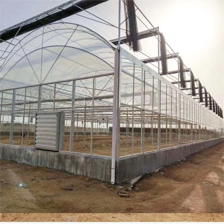 China Film Greenhouse With Agricultural Systems
