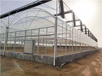 poljoprivredni staklenici s više raspona
