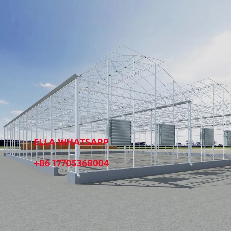 Multi Span Film Gothic Greenhouse suppliers