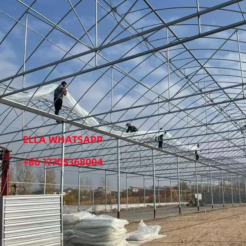 gothic greenhouse